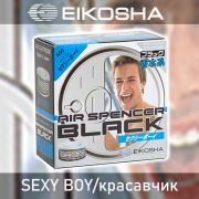 Ароматизатор меловой SPIRIT REFILL - SEXY BOY/красавчик, EIKOSHA, A-50, 1 шт.